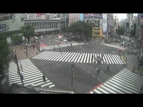 Traffic Cam Foggia › North