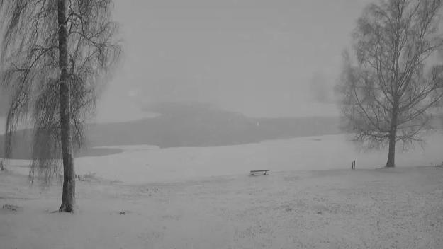 Batzengschwenden mountain Webcam