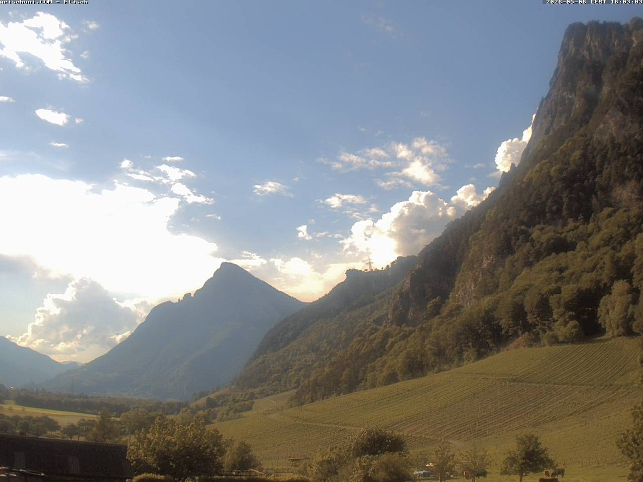 Fläsch › Nordwesten: Fläscherberg - Sargans - Gonzen