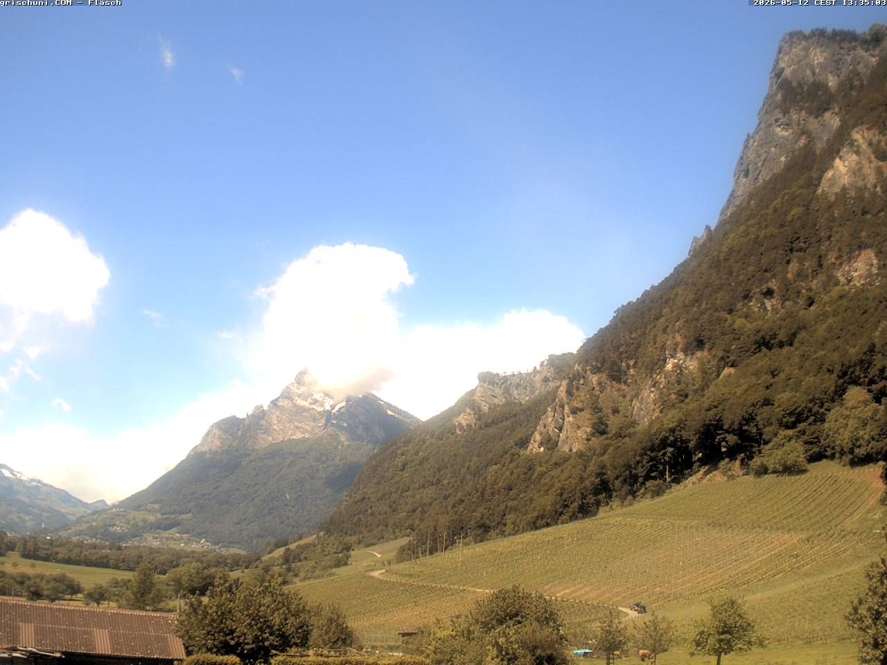 Fläsch › Nordwesten: Fläscherberg - Sargans - Gonzen