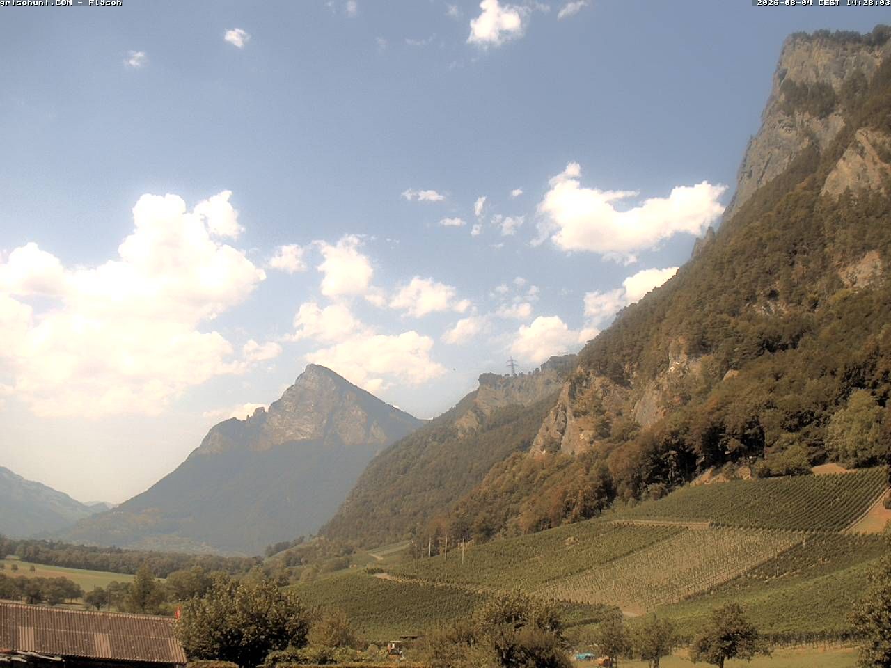 Fläsch › Nordwesten: Fläscherberg - Sargans - Gonzen