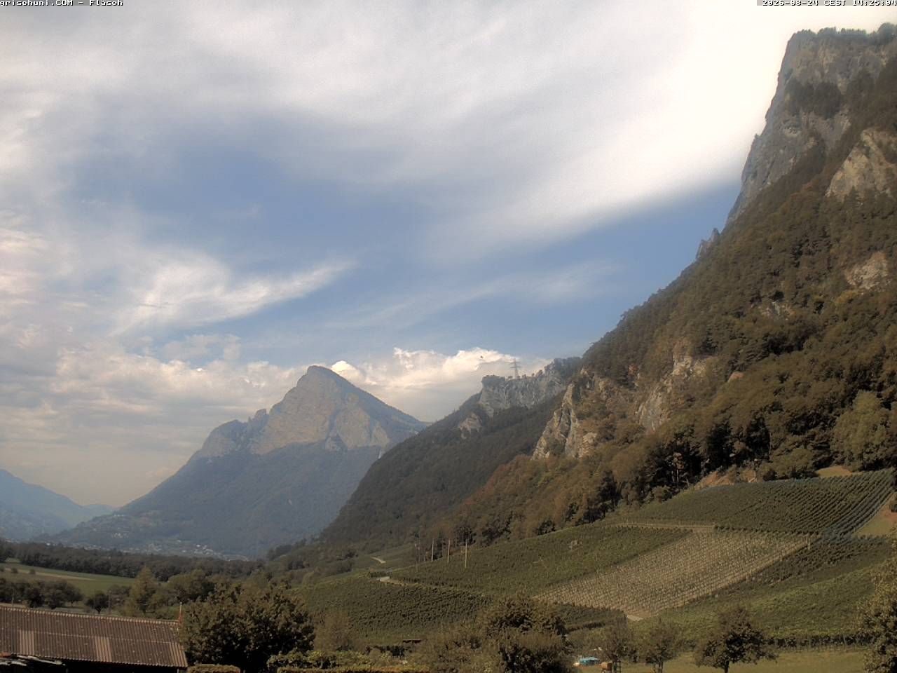 Fläsch › Nordwesten: Fläscherberg - Sargans - Gonzen