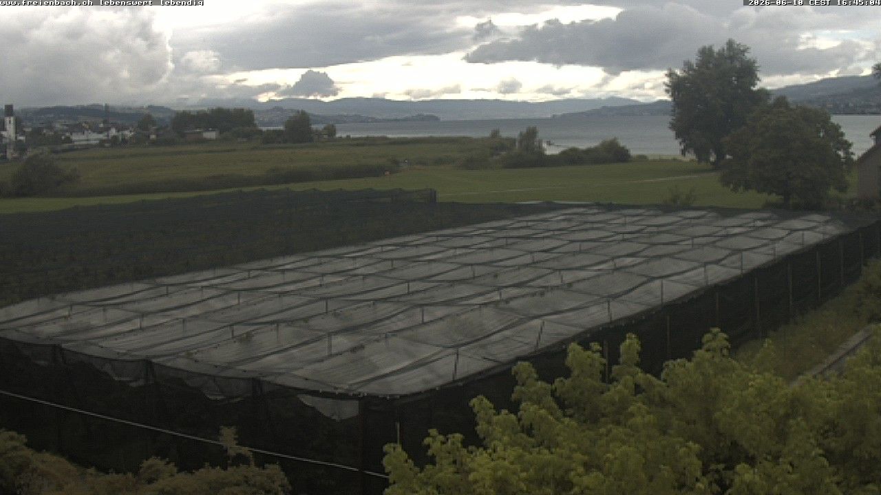 Freienbach