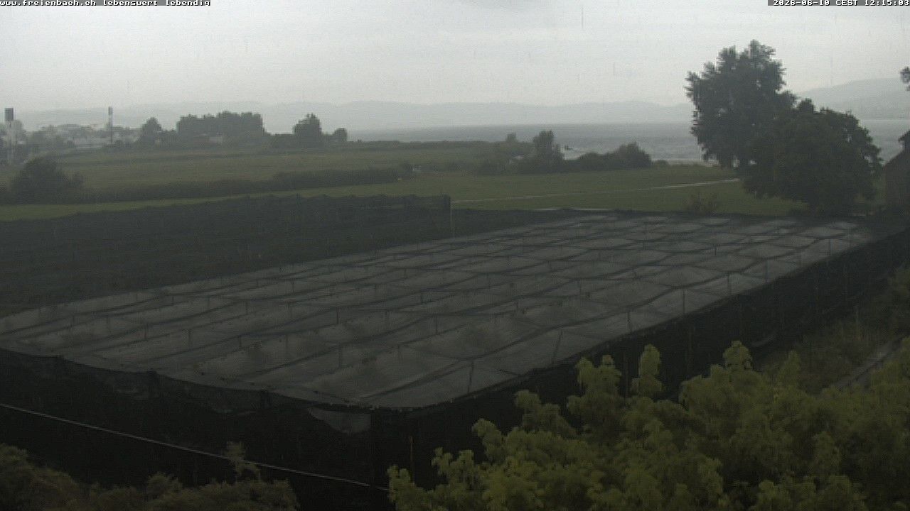 Freienbach