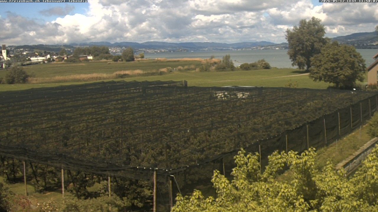 Freienbach