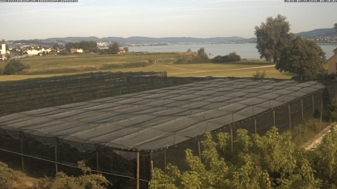 Freienbach