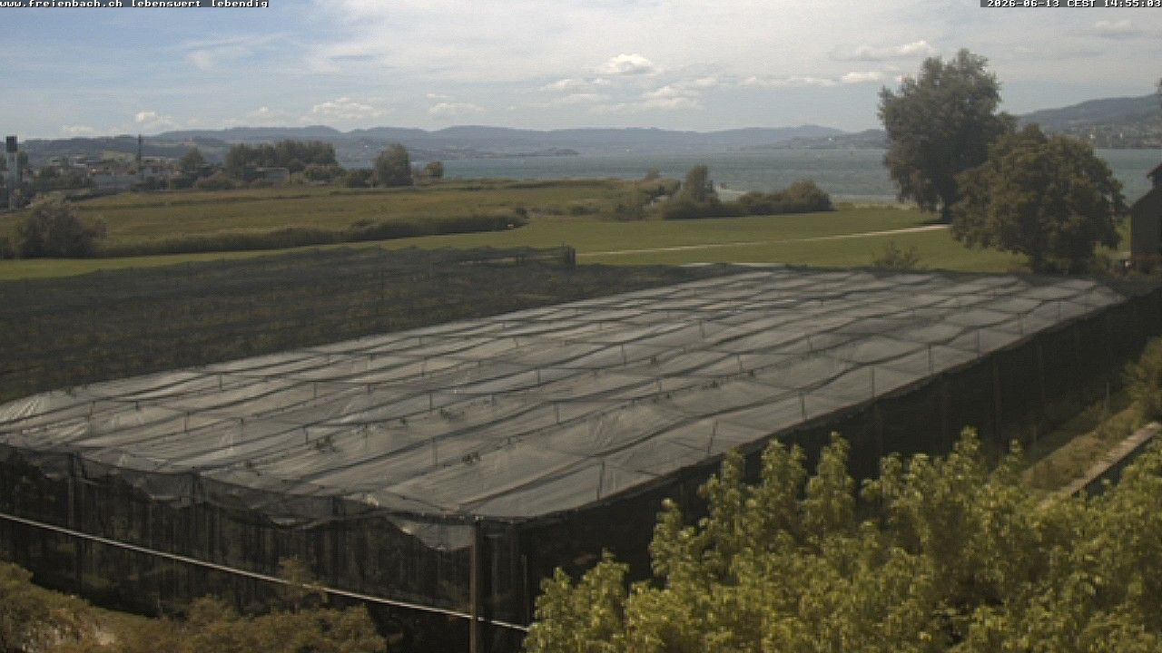 Freienbach