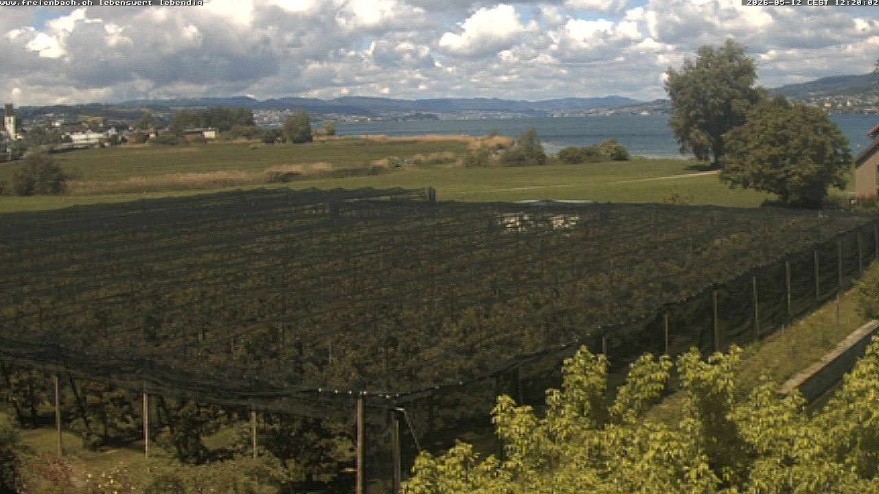 Freienbach