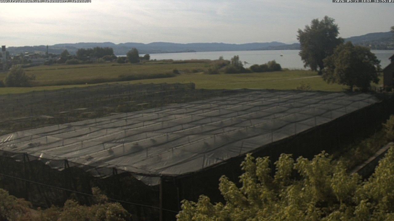 Freienbach