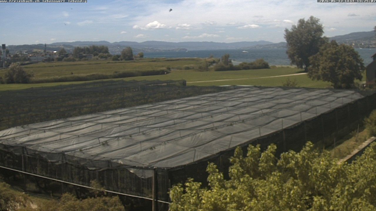 Freienbach