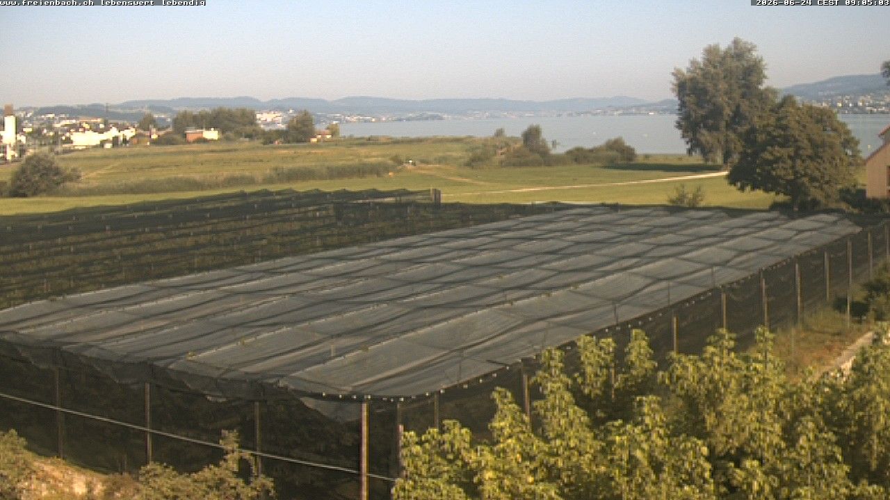 Freienbach › Nordwesten: Zivilstandsamt Pfäffikon SZ - Zürichsee