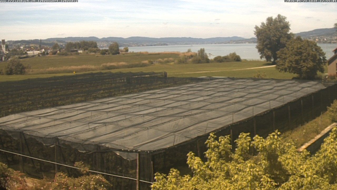 Freienbach