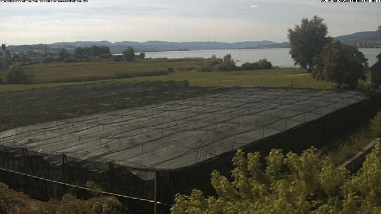 Freienbach