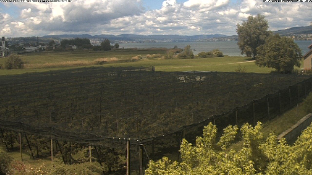 Freienbach