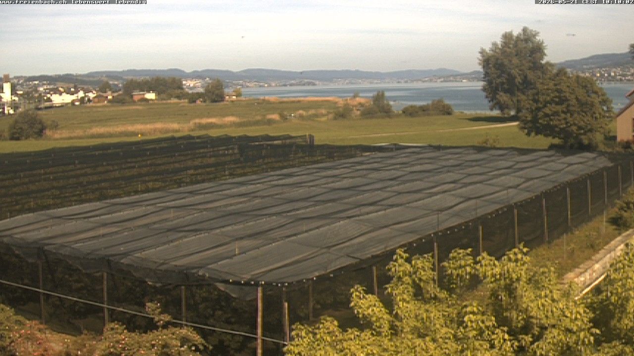 Freienbach