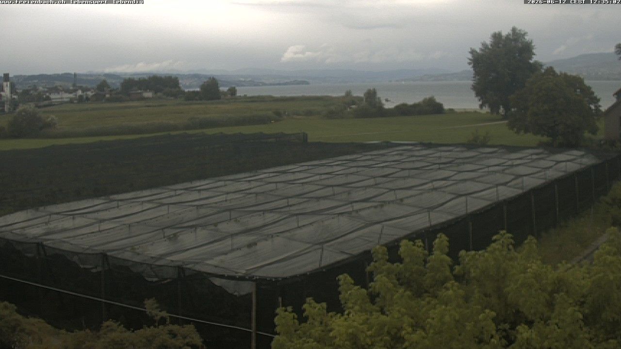 Freienbach