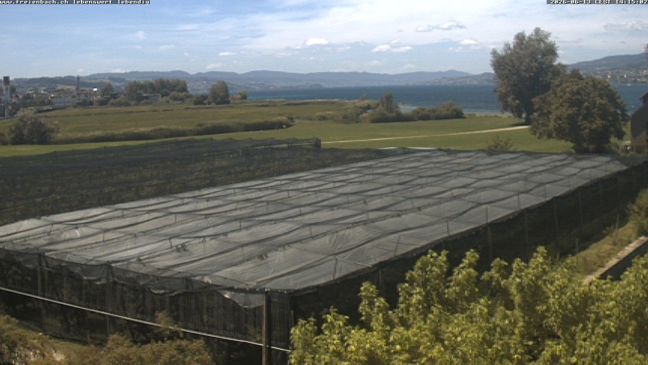 Freienbach