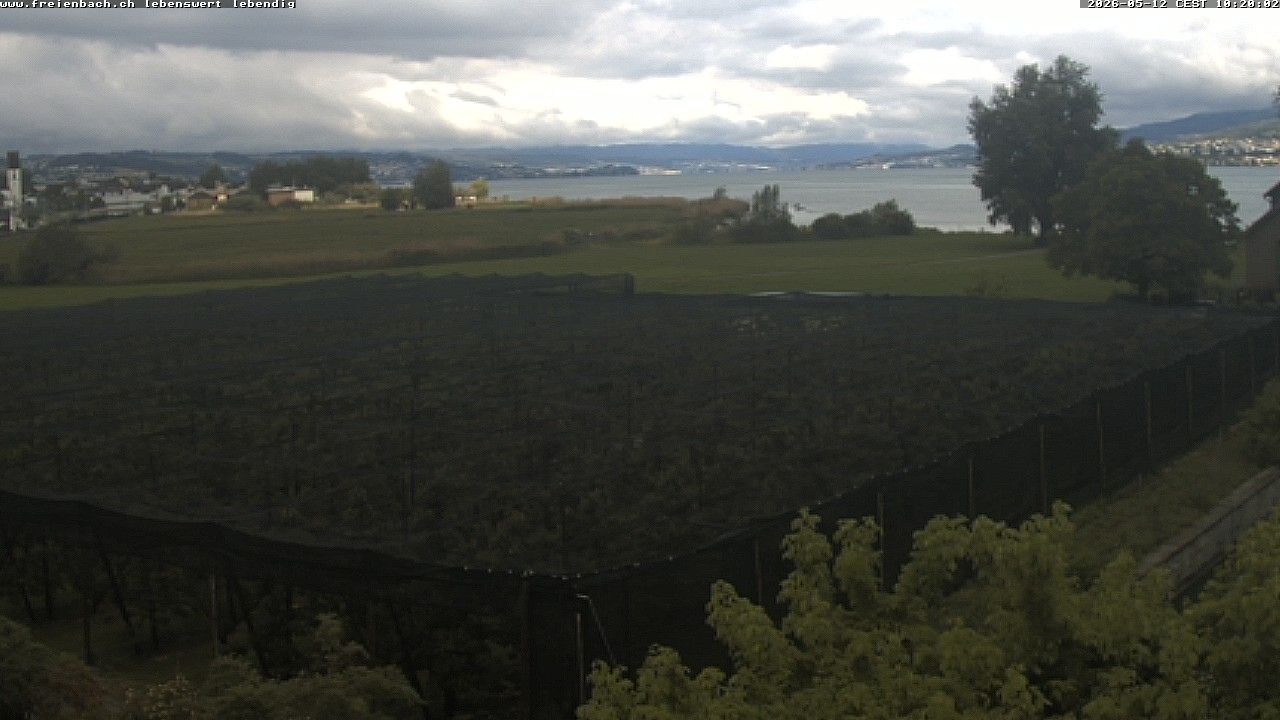 Freienbach