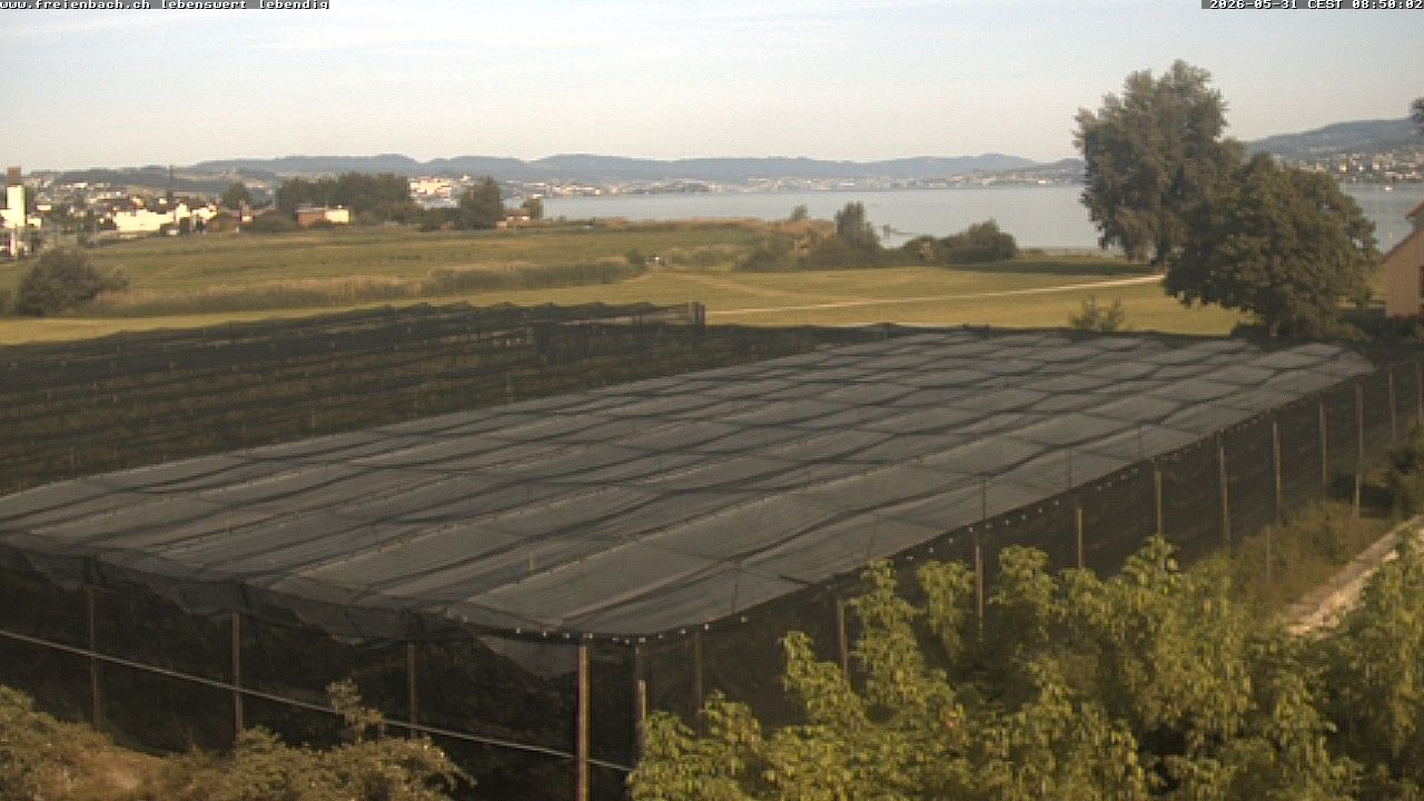 Freienbach
