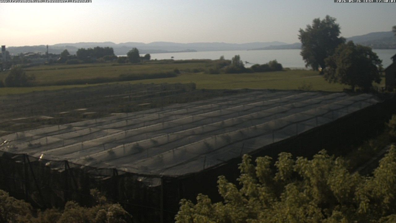 Freienbach