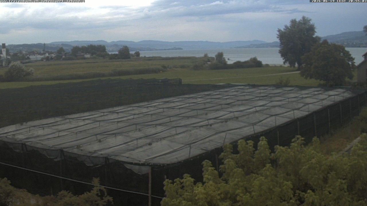 Freienbach
