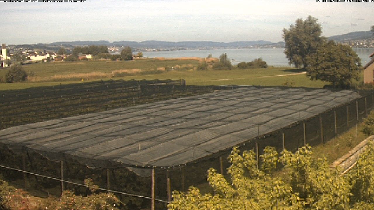 Freienbach