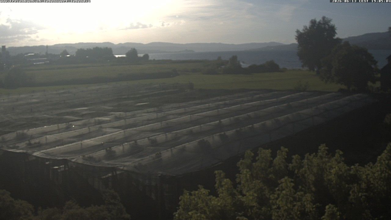 Freienbach