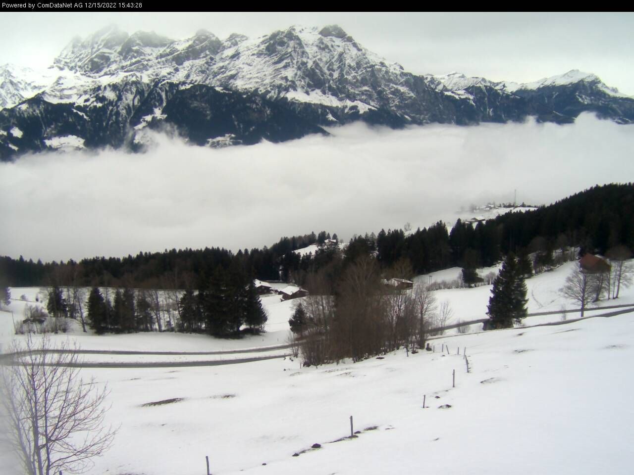 Schattdorf: Haldi ob - Urnersee