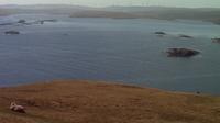 Mossbank: Lunna, Vidlin, Shetland - Overdag