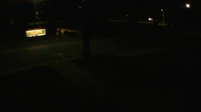 Webcam en vivo Bracebridge - ahora mismo