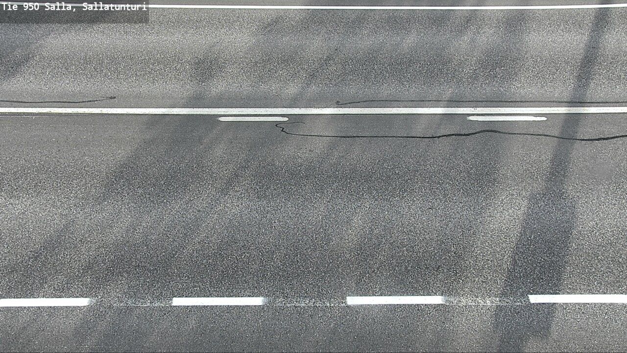 Traffic Cam Salla: Tie950 Sallatunturi - Tienpinta