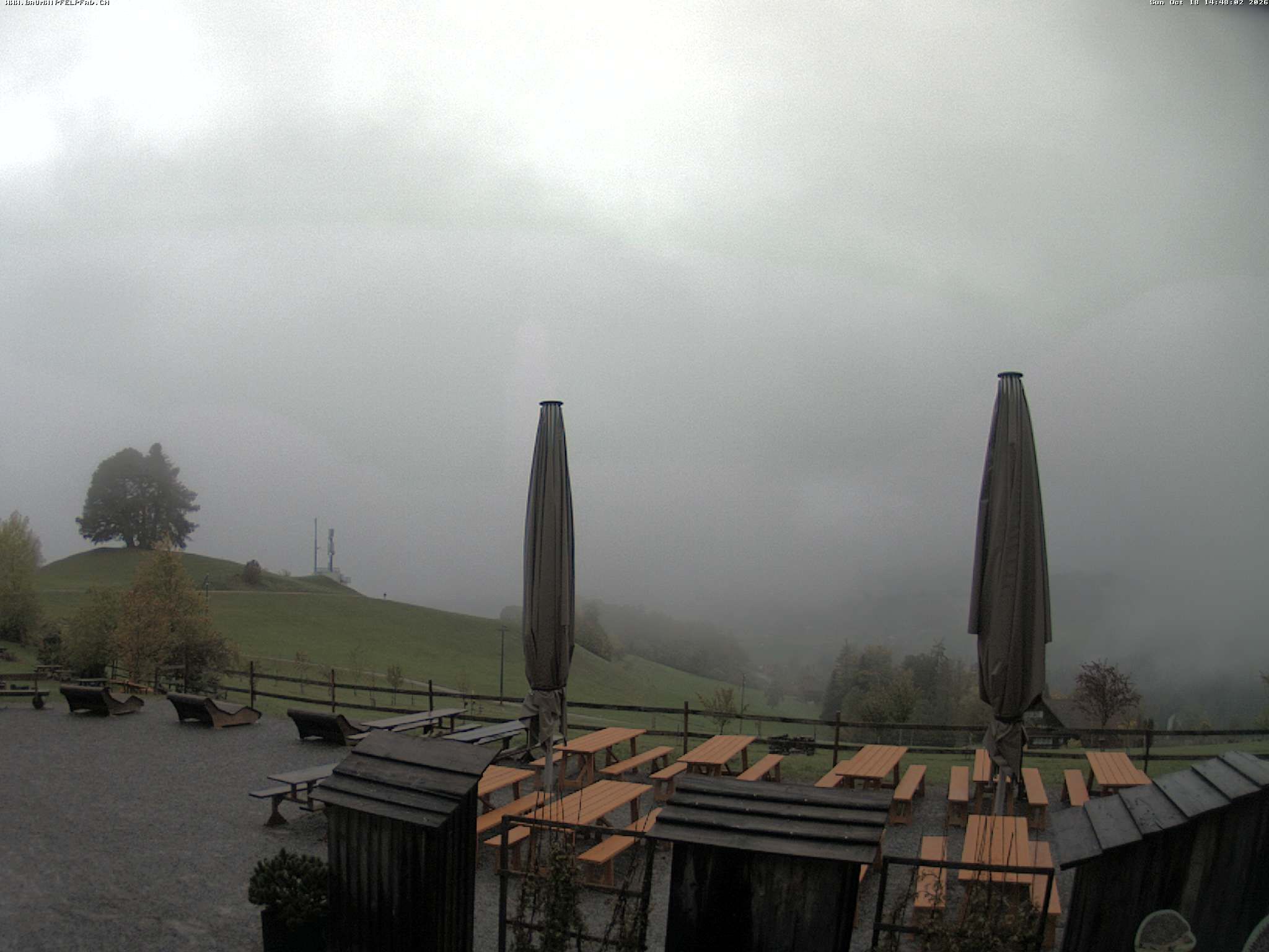 Mogelsberg › Nordwesten: Baumwipfelpfad Neckertal