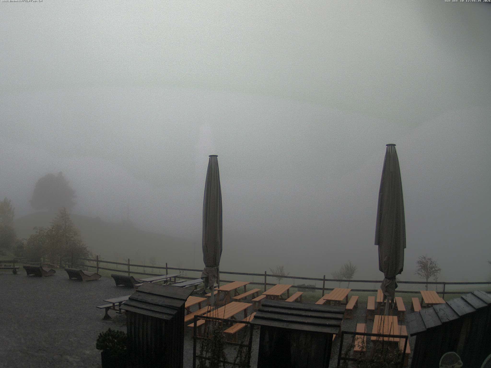 Mogelsberg › Nordwesten: Baumwipfelpfad Neckertal