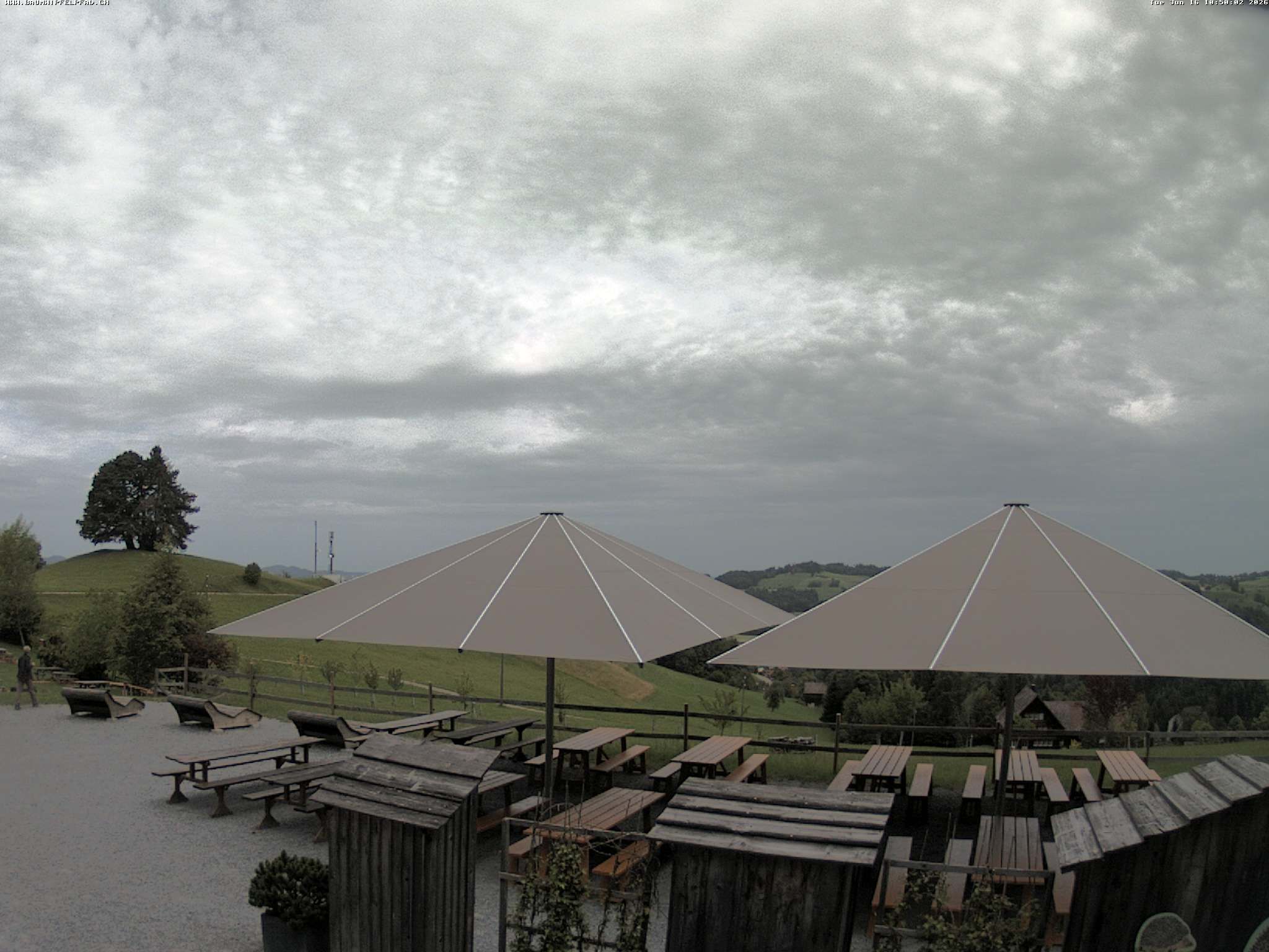 Mogelsberg › Nordwesten: Baumwipfelpfad Neckertal