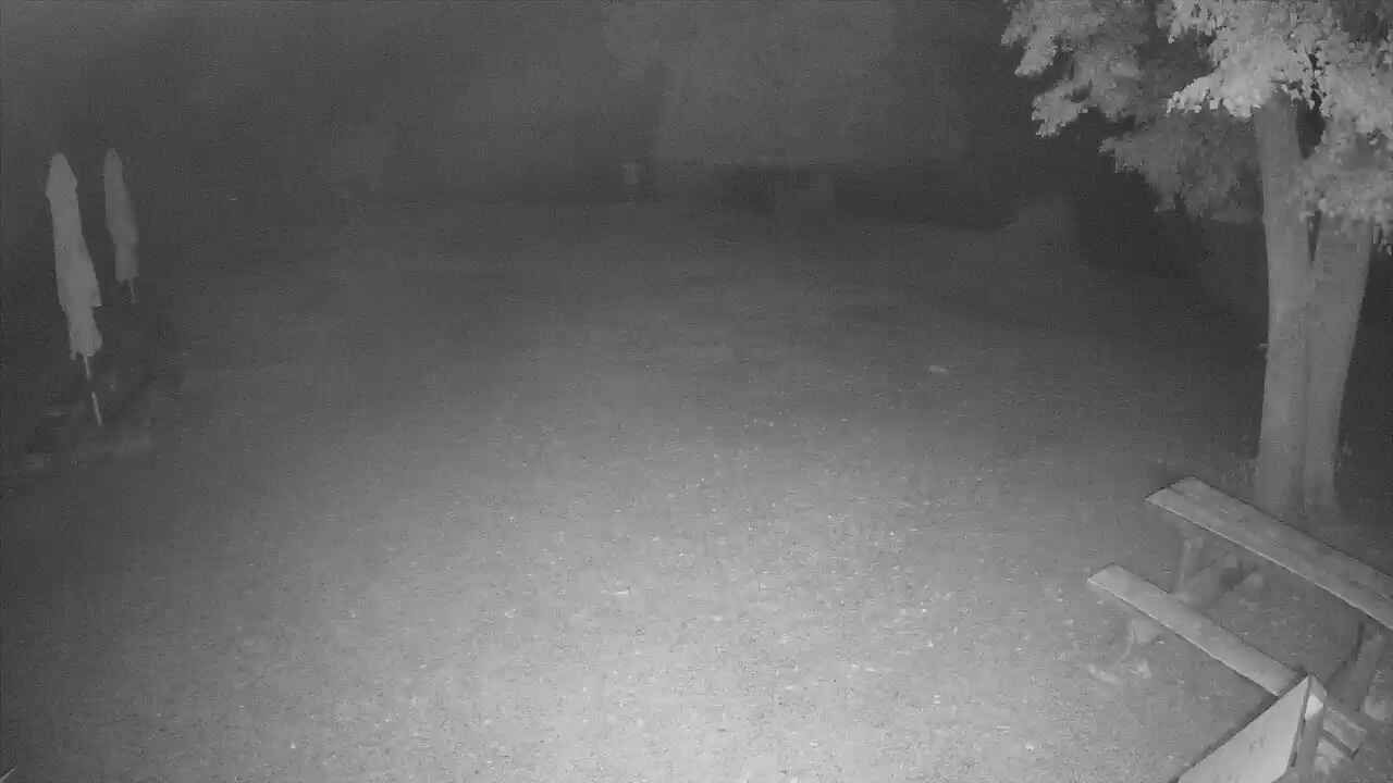 Traffic Cam Brno › North: Brno Reservoir