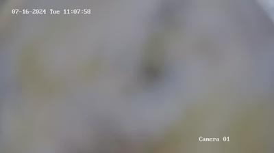 Дачный: Webcam de Saratov