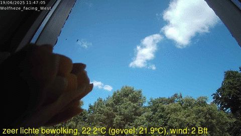 Traffic Cam Renkum