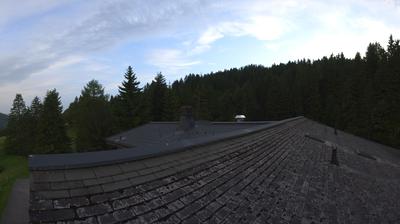 Chatel-Saint-Denis: Joncs - Les Paccots - La Veveyse