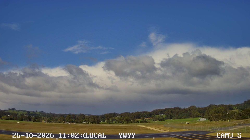 Wynyard webcam