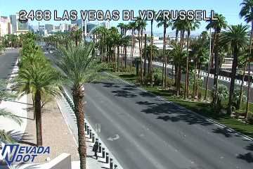 Paradise webcam