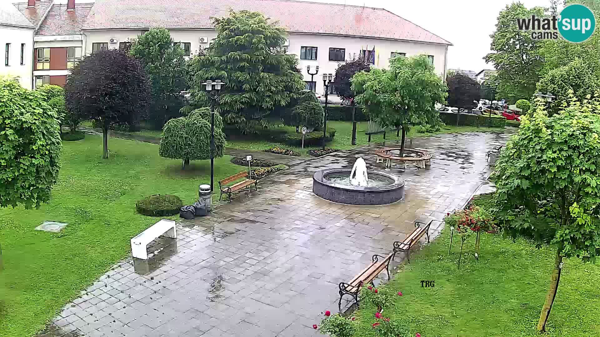 Mostari webcam