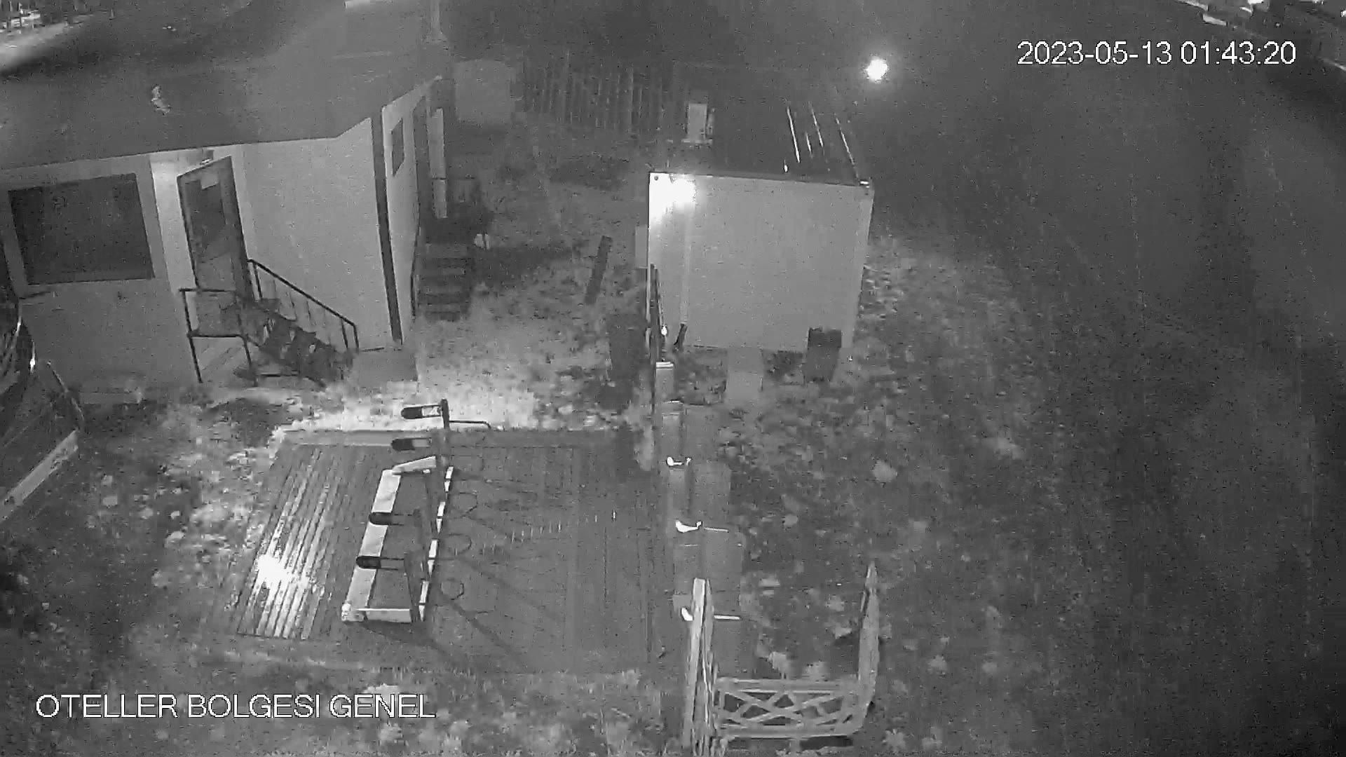 Teneke: Sarıkamış Kayak Merkezi