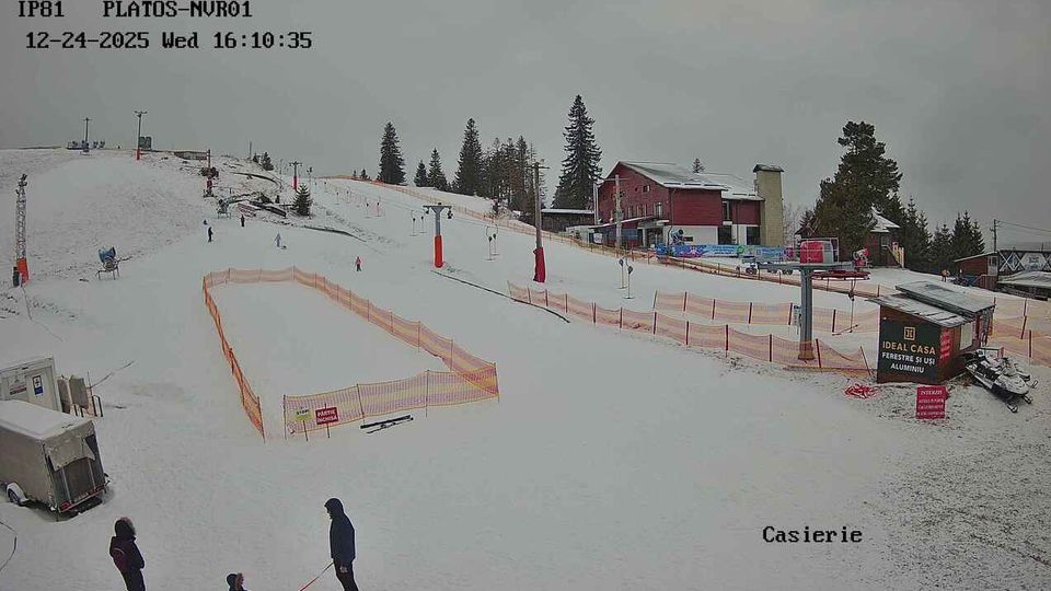 Desmenuzar hombro Insustituible arena platos webcam Espinoso interior ir al trabajo