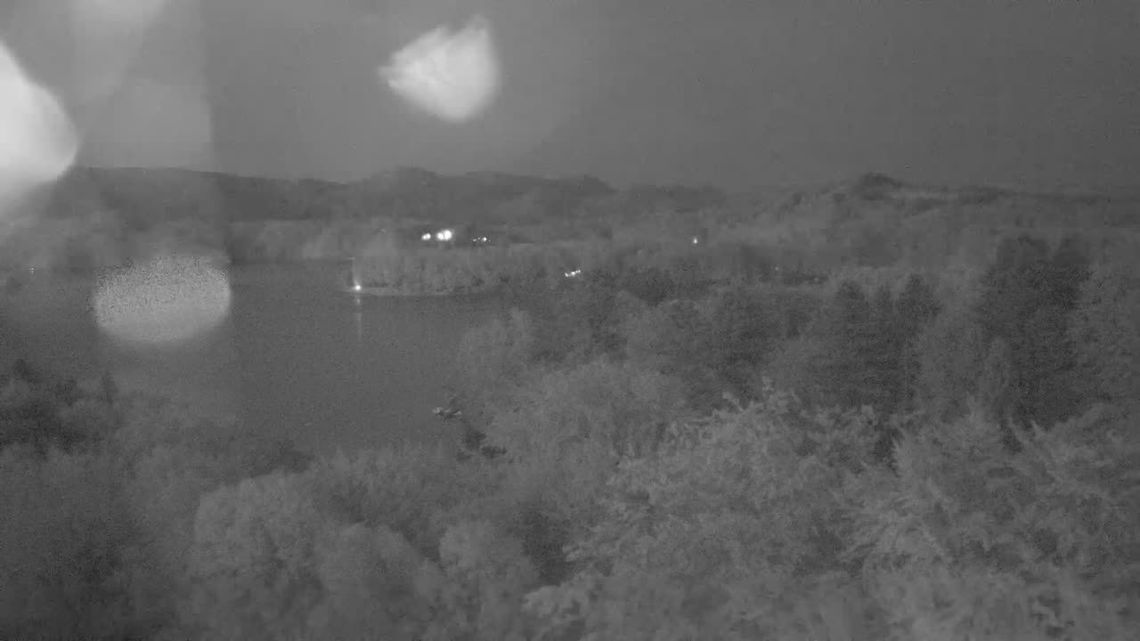 Traffic Cam Solina