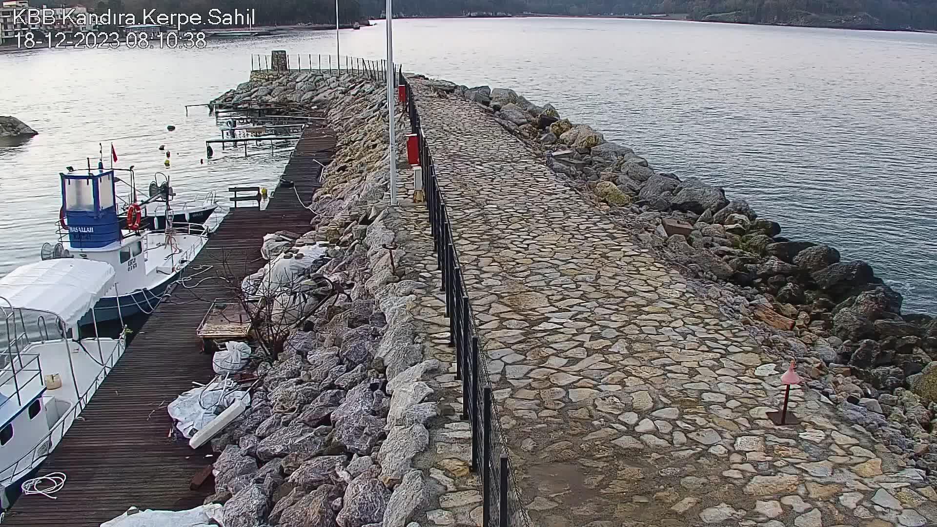 suriyeli kızlık bozma mlfs tube