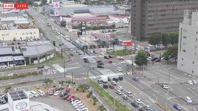 Akita today