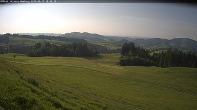 Hemberg forest webcam