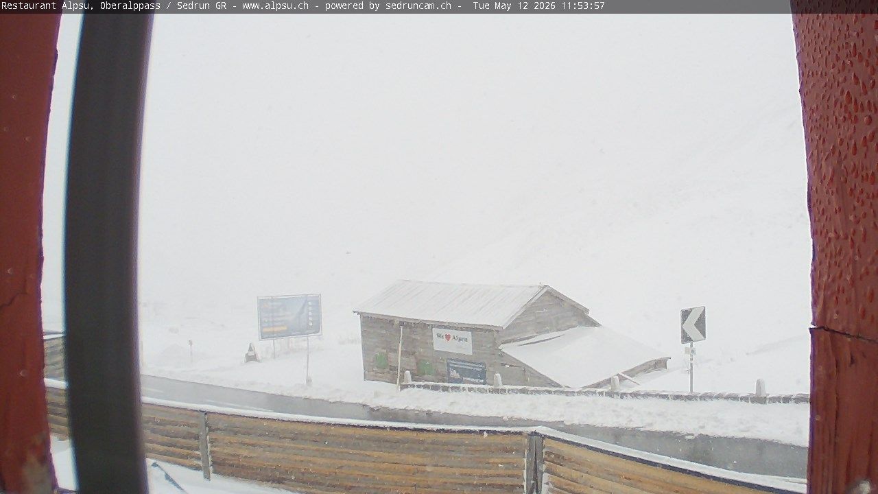 Tujetsch › Südosten: Oberalppass - Graubünden, Schweiz: Pazzola