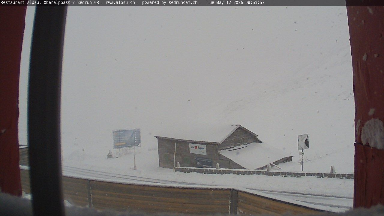 Tujetsch › Südosten: Oberalppass - Graubünden, Schweiz: Pazzola