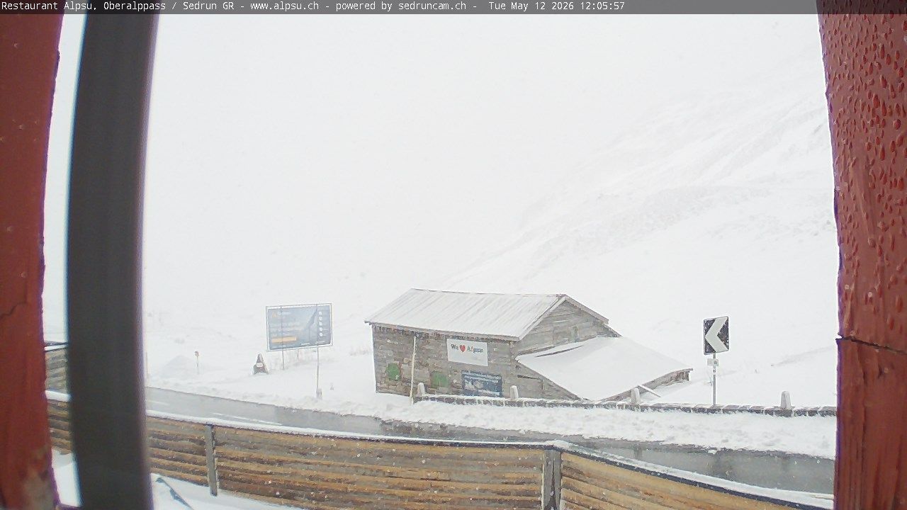 Tujetsch › Südosten: Oberalppass - Graubünden, Schweiz: Pazzola